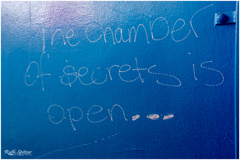 2014.11.23 - CaringbahHighSchool (83) - WebWmb