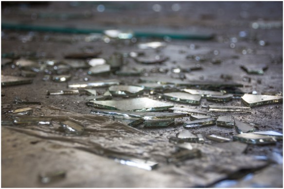 2014.11.23 - CaringbahHighSchool (102) - WebWmB