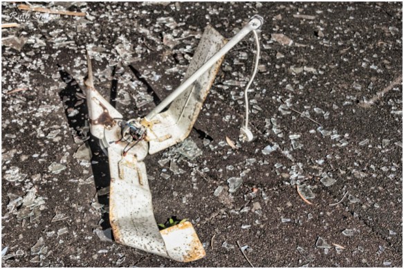 2014.11.23 - CaringbahHighSchool (25.1) - WebWmb