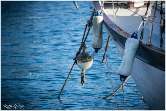 2015.06.14 - Gerringong-Kiama walk (101) - WebWmB