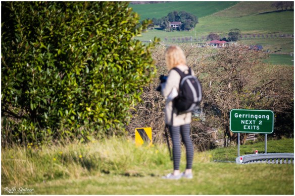 2015.06.14 - Gerringong-Kiama walk (13) - WebWmB