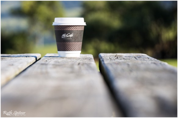 2015.06.14 - Gerringong-Kiama walk (17) - WebWmB