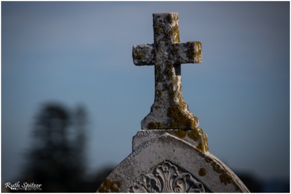 2015.06.14 - Gerringong-Kiama walk (47) - Webwmb