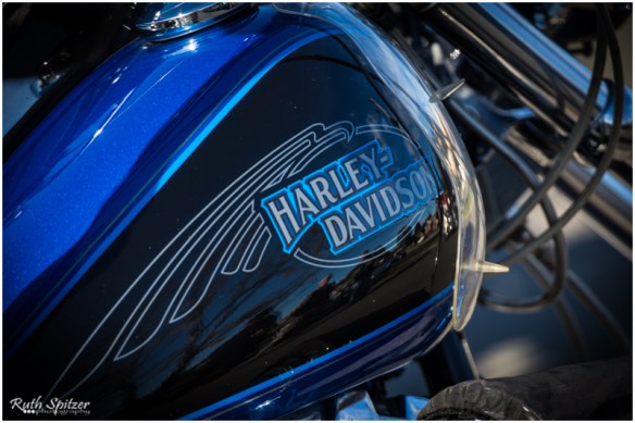 2015.06.14 - Gerringong-Kiama walk (5) - WebWmb