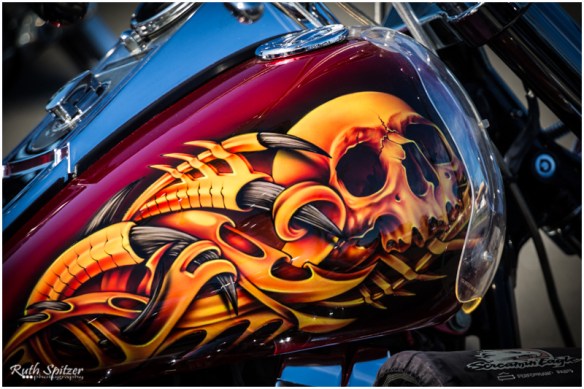 2015.06.14 - Gerringong-Kiama walk (6) - WebWmB