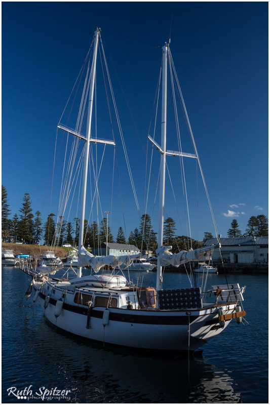 2015.06.14 - Gerringong-Kiama walk (98) - WebWmB