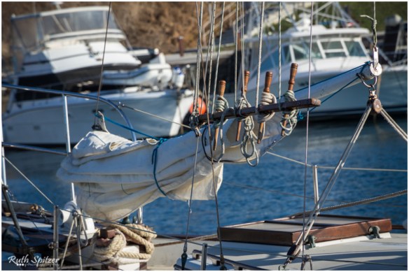 2015.06.14 - Gerringong-Kiama walk (99) - WebWmB