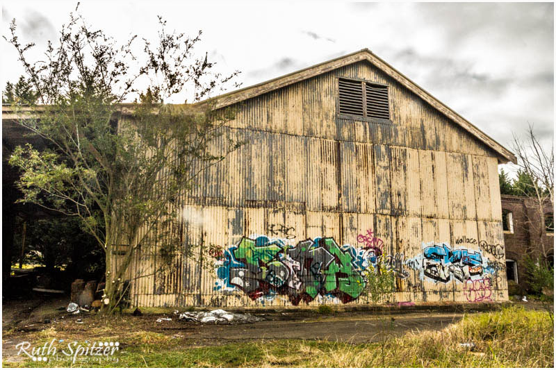 Tooth and Co Brewery 