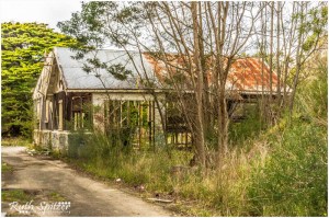 The-Mittagong-Maltings-Tooth-and-Co