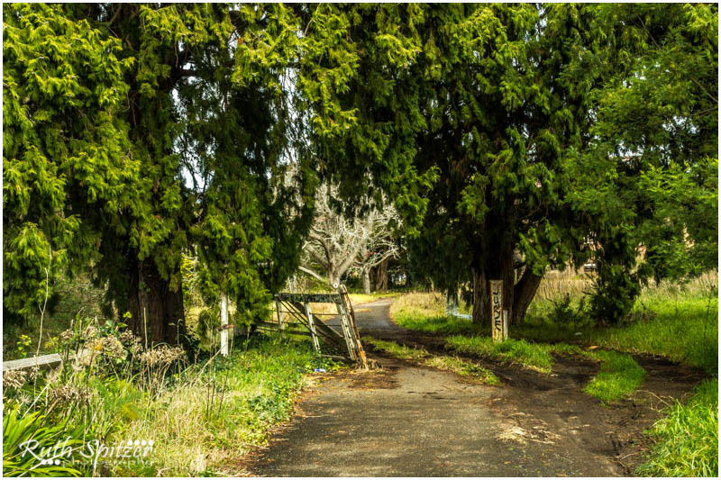 Tooth and Co Brewery 