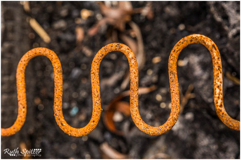 Tooth and Co Brewery 
