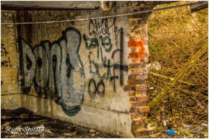 The-Mittagong-Maltings-Tooth-and-Co