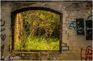 The-Mittagong-Maltings-Tooth-and-Co