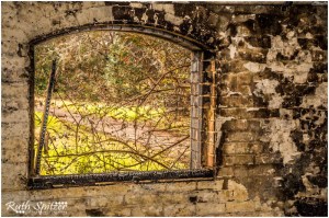 The-Mittagong-Maltings-Tooth-and-Co