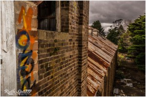 The-Mittagong-Maltings-Tooth-and-Co