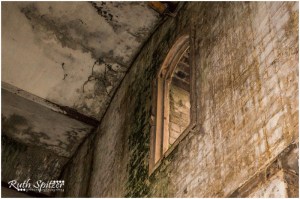 The-Mittagong-Maltings-Tooth-and-Co