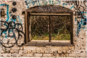 The-Mittagong-Maltings-Tooth-and-Co