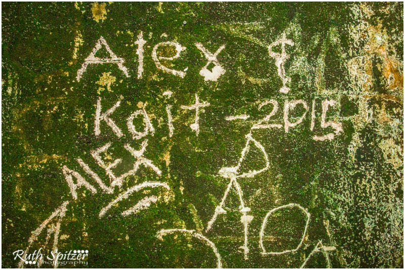 Tooth and Co Brewery 