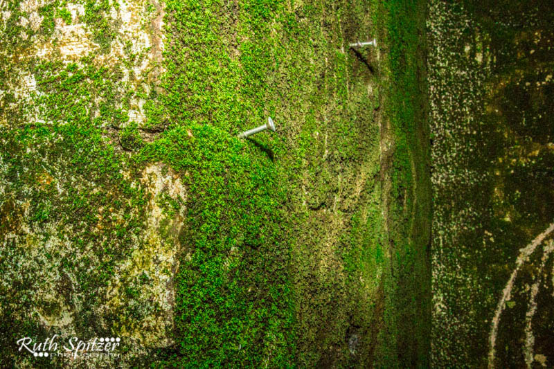 Tooth and Co Brewery