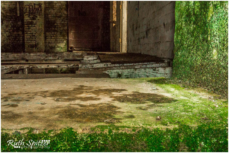  Tooth and Co Brewery