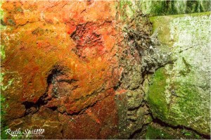 The-Mittagong-Maltings-Tooth-and-Co