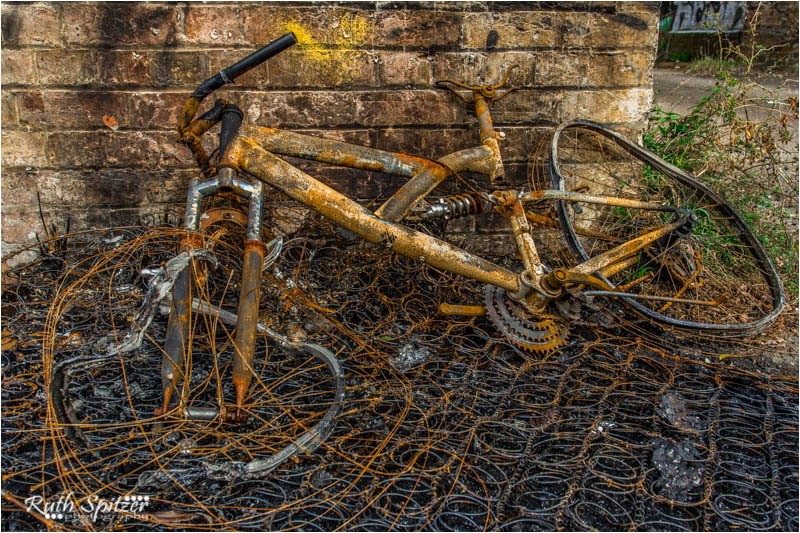 Tooth and Co Brewery 