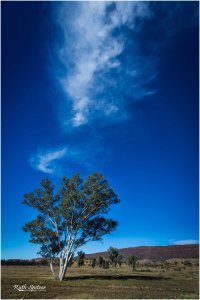 Day 2 - along the road somewhere