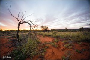 Sunset-Kings-Creek-Station