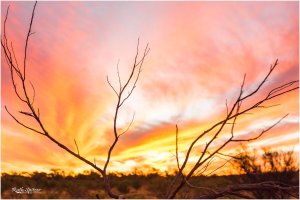 Sunset-Kings-Creek-Station