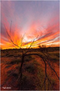 Sunset-Kings-Creek-Station