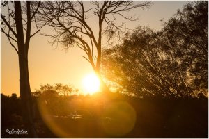 Sunrise-Curtin-Springs