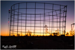 Sunrise-Curtin-Springs