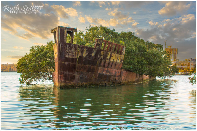 Homebush-Bay-Shipwrecks