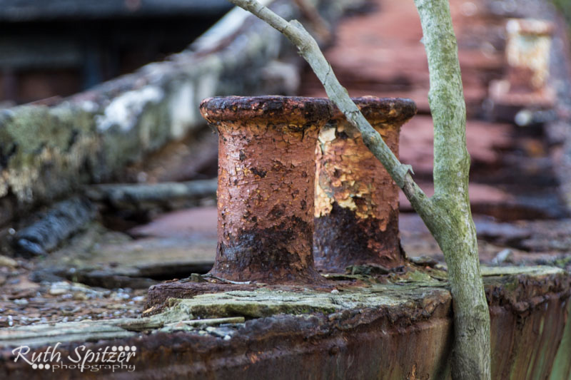 Homebush-Bay-Shipwrecks-Ruth-Spitzer