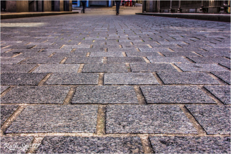 BirdCages-AngelPlace