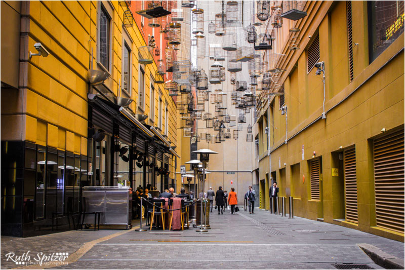 BirdCages-AngelPlace 