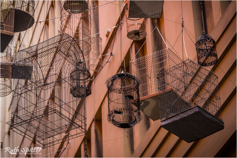 BirdCages-AngelPlace