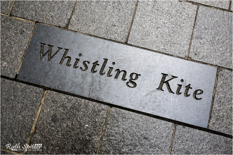 BirdCages-AngelPlace