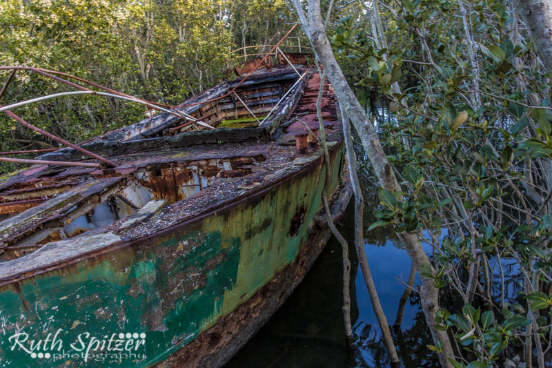 Homebush-Bay-Shipwrecks-Ruth-Spitzer-SS-Karingi
