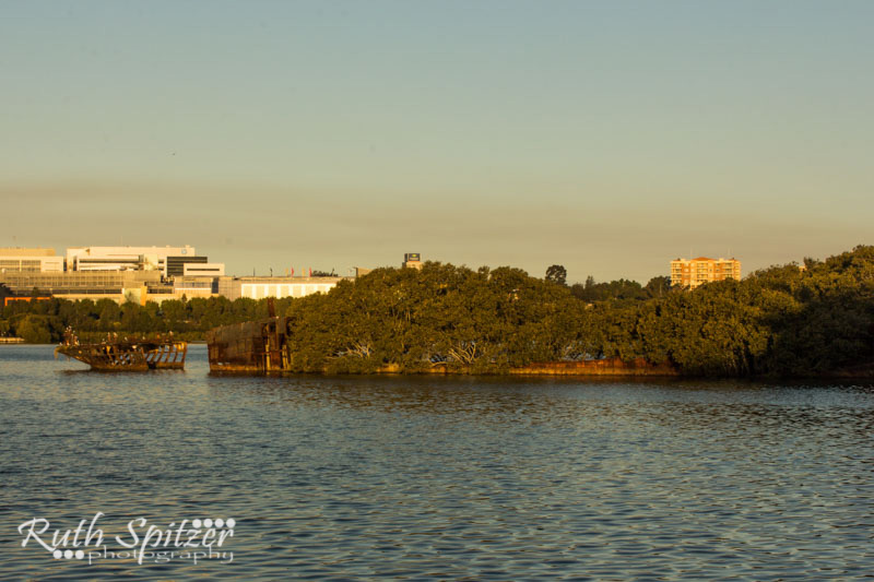 Homebush-Bay-Shipwrecks-Ruth-Spitzer-SS-Ayrfield