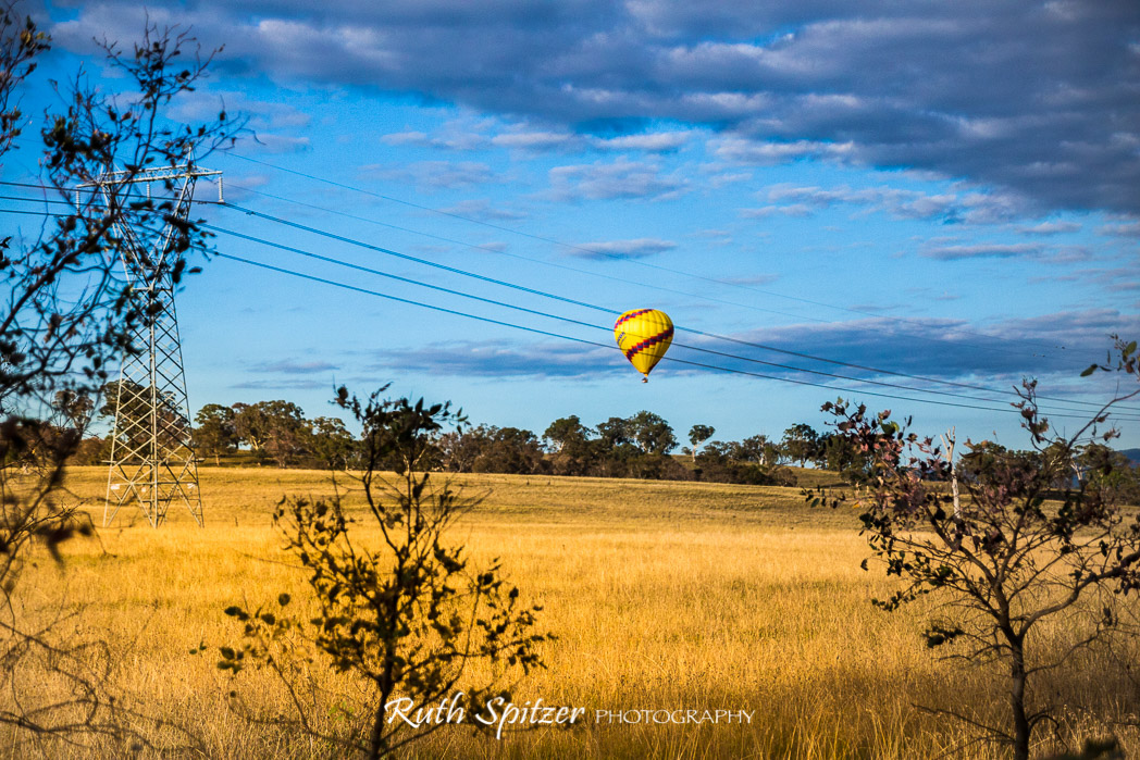 hot-air-balloon-spectacular-2016-canberra