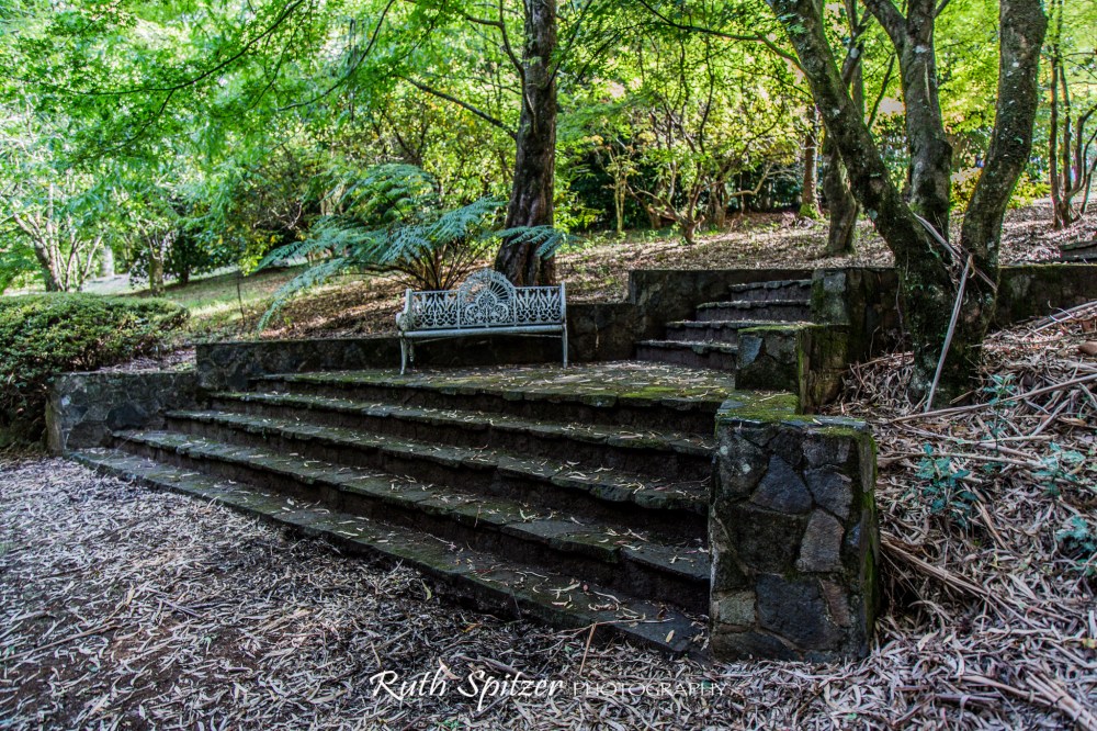Breenhold-Private-Gardens-Mount-Wilson-NSW